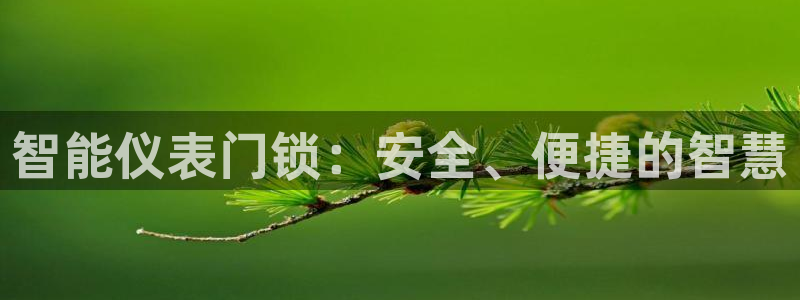 新宝gg软件