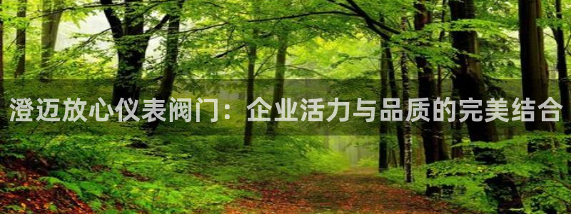 广东新宝电器gg