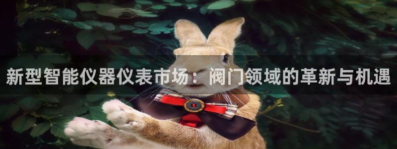 新宝gg怎样