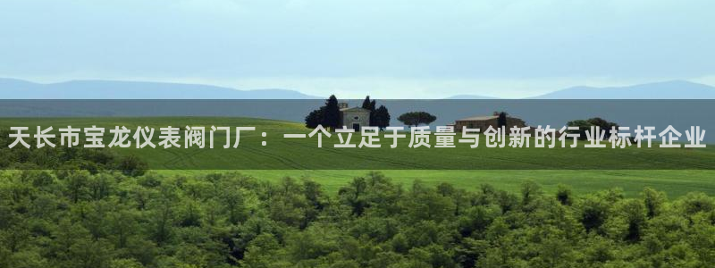 新宝gg手机