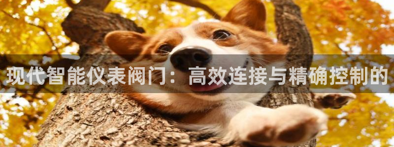 新宝g新宝gg