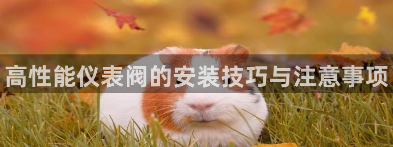 新宝gg分红