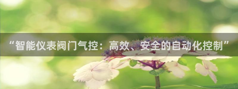 新宝GG管理