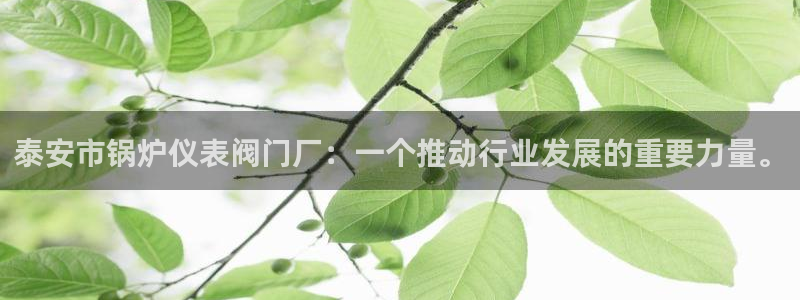 新宝gg主管花木兰