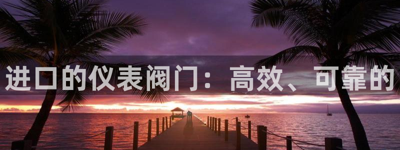 新宝gg最新章节