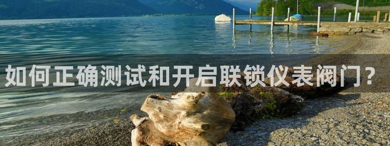 新宝gg最新章节