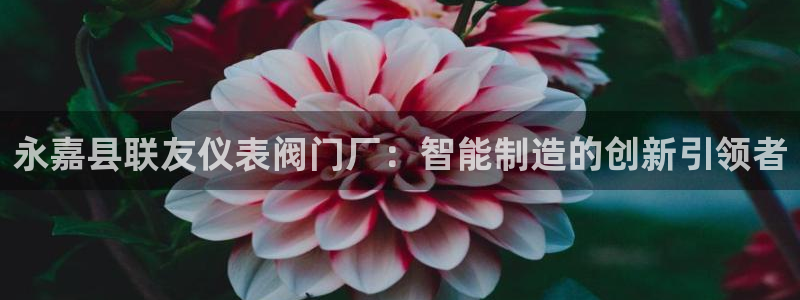 新宝gg手机版下载