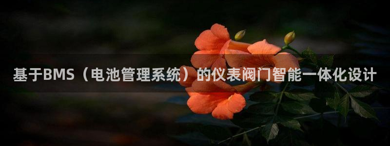 宝新gg