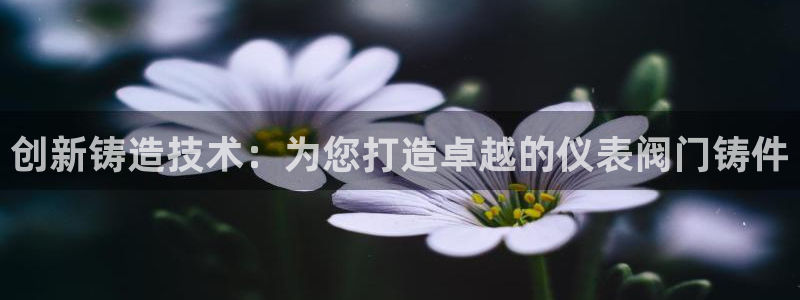 新宝gg网娱乐