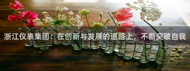 新宝gg dengludizhi
