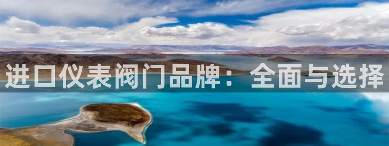 新宝gg评论