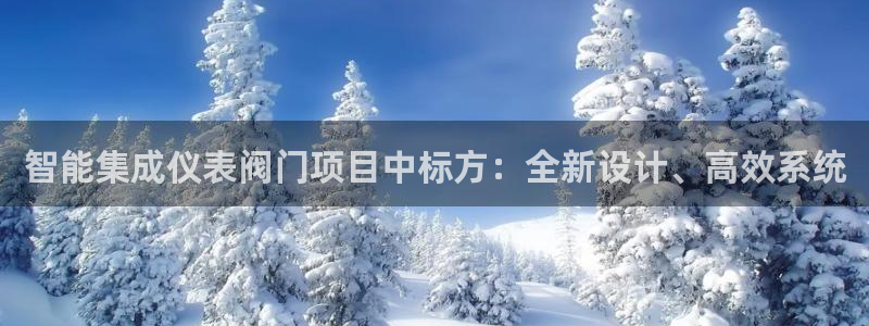 新gg宝