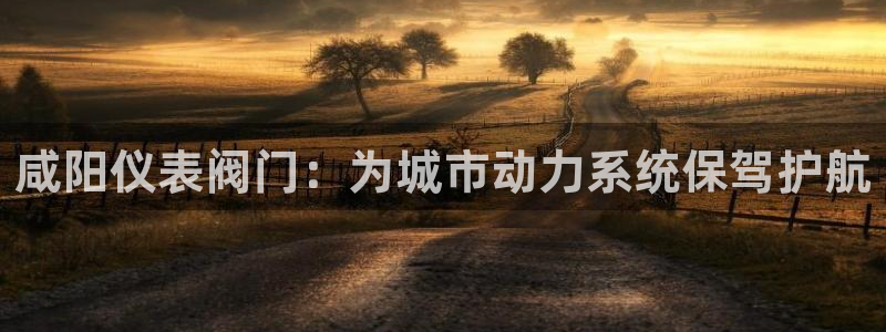 新宝gg干嘛