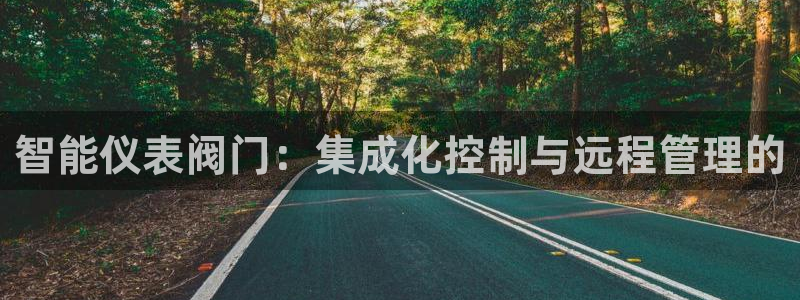 新宝gg平台gg登录gg网址