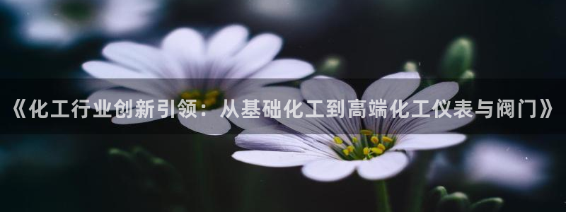 新宝gg -创造