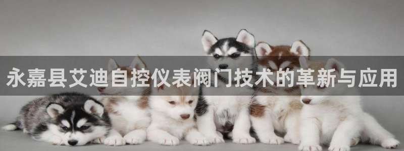 新宝gg创造奇迹