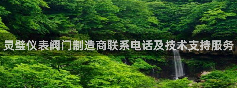 新宝gg龙虎