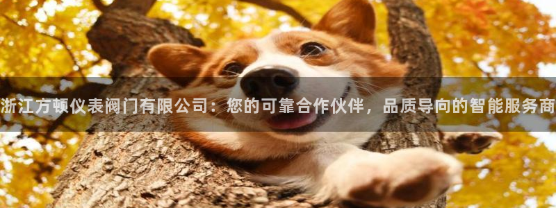娱乐新宝GG