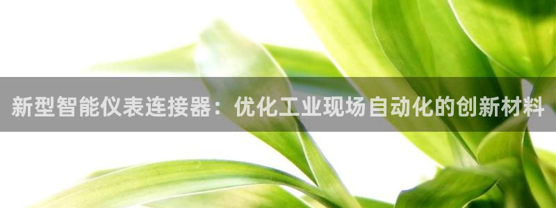 新宝gg盈亏