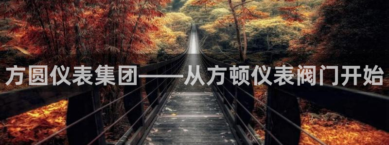 新宝gg平