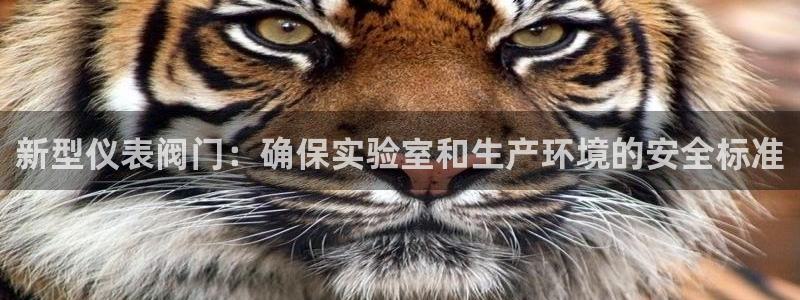 行新宝gg