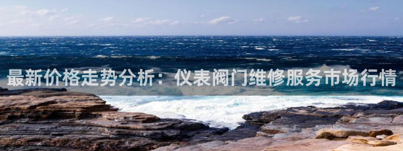 新宝gg娱乐盟主