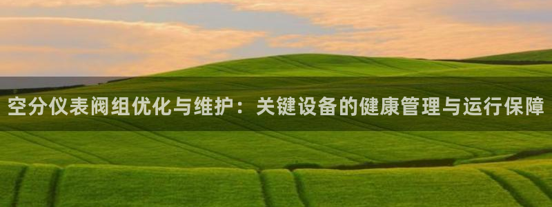 新宝gg下载