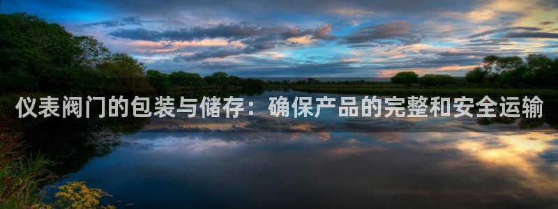新宝gg代理条件