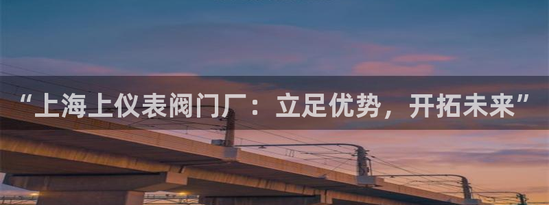 新宝GG玩家