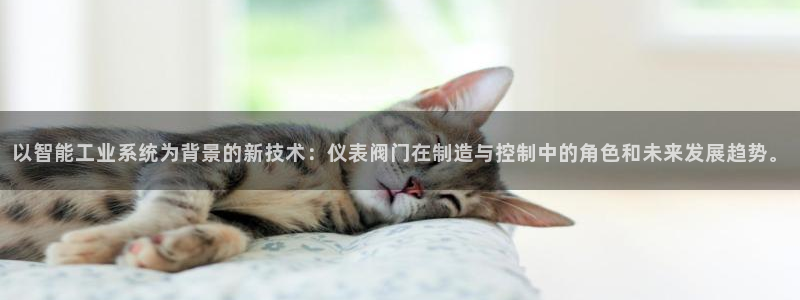 新宝GG的老板