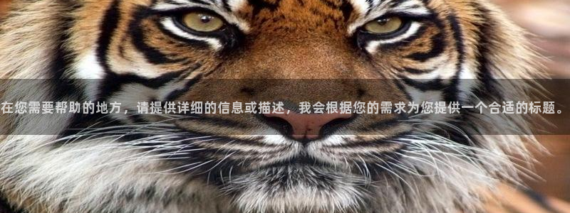 新宝gg怎么样