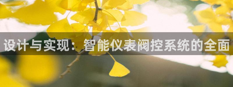新宝gg龙虎