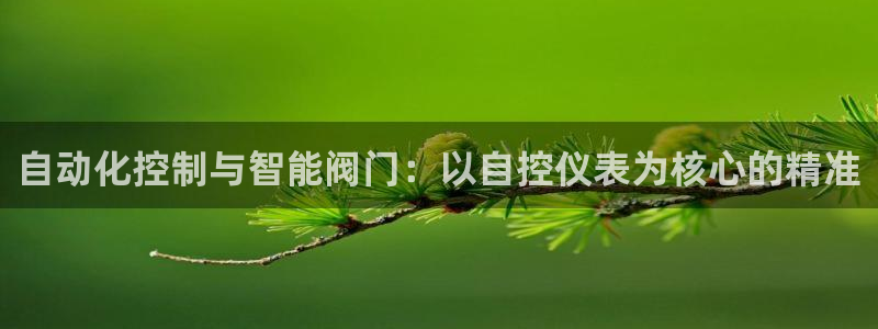 新宝GG无法充值