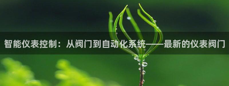 新宝一GG