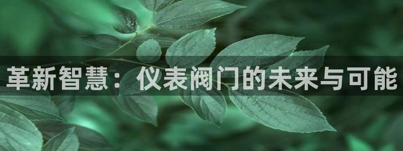 新宝gg创造奇迹 新宝gg