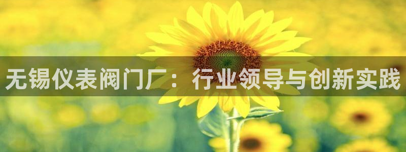 菲律宾新宝gg娱乐