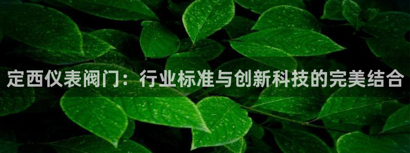 新宝gg开户