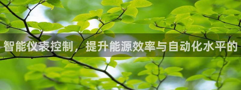 新宝gg最新章节
