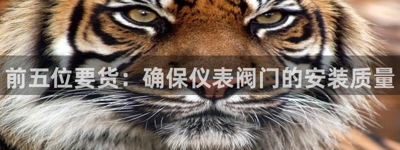 百度新宝gg