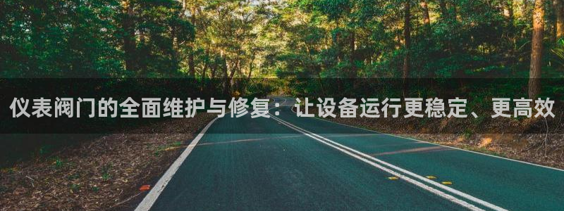 网站是新宝gg