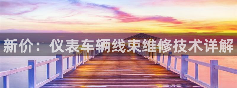 关于新宝GG