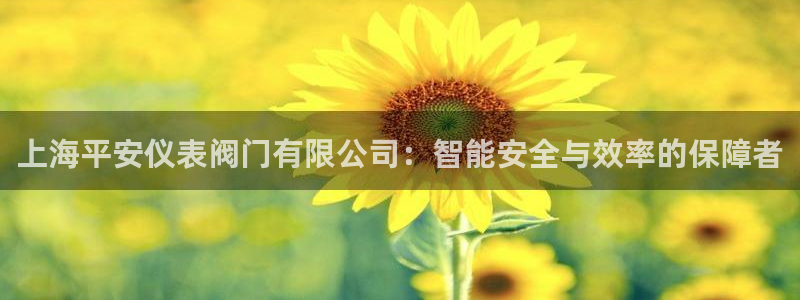 新宝gg怎样