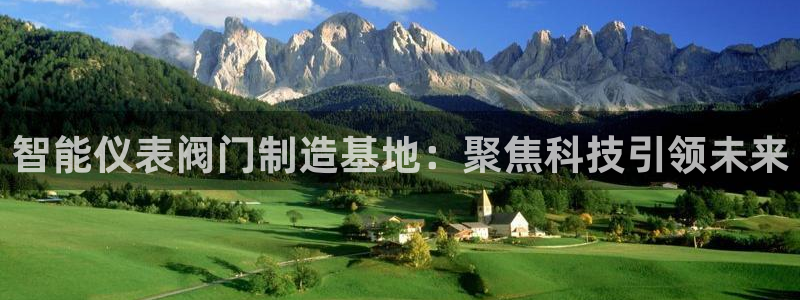 新宝gg计划