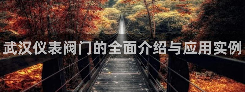 新宝gg直属上级