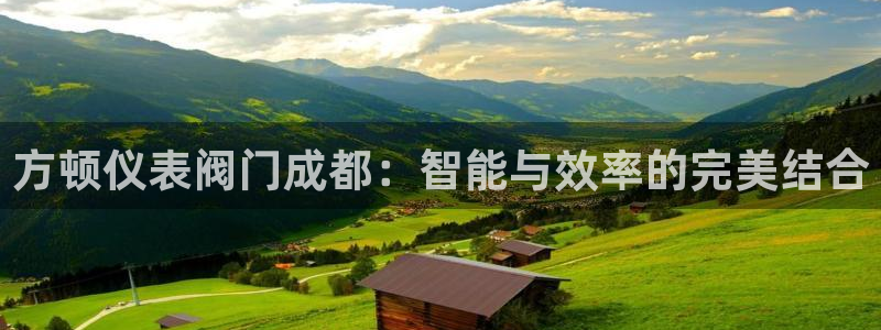 新宝gg找回账号
