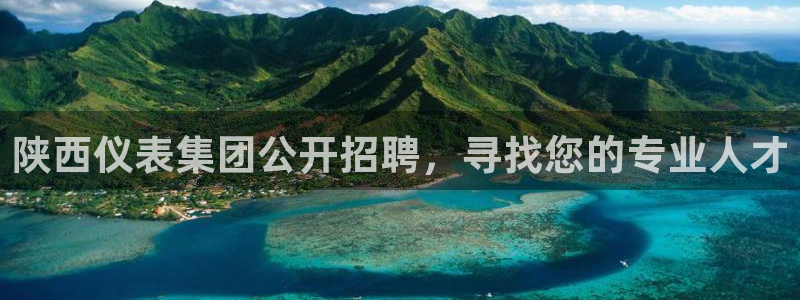 新宝gg入口网址