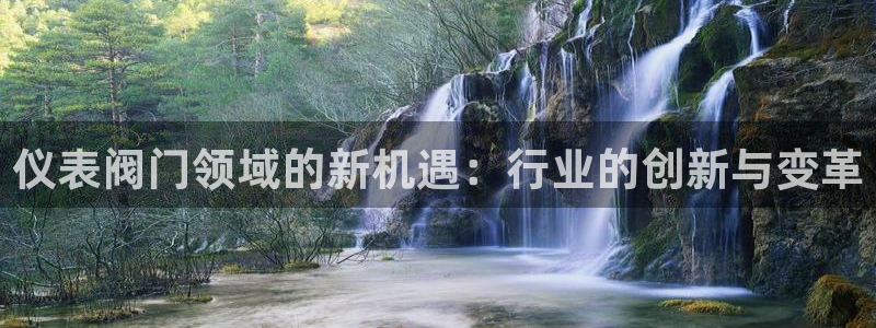 新宝GG跑路