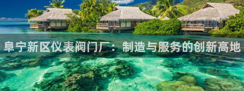 新宝gg创造奇迹