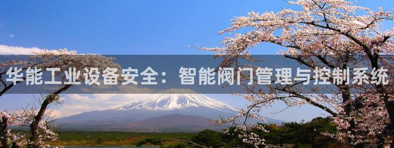新宝时gg