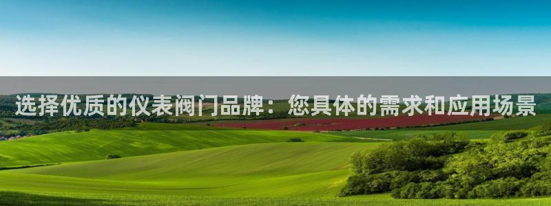 新宝gg工资